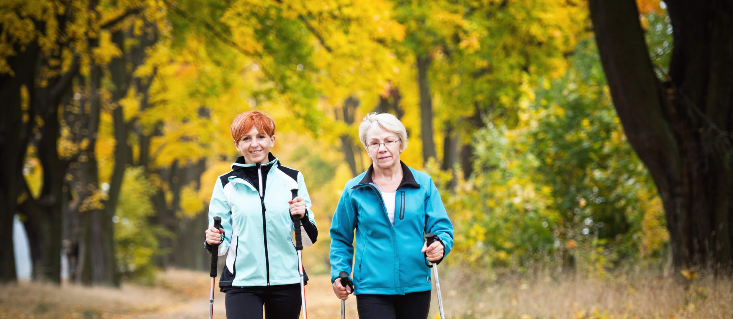 Forget the Gadgets, Just get Moving! A recent review to prevent low back pain